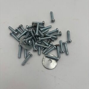 Bissell Screw Set Vacuum Parts OS Silver Excellent 39pc 2254 Hardware